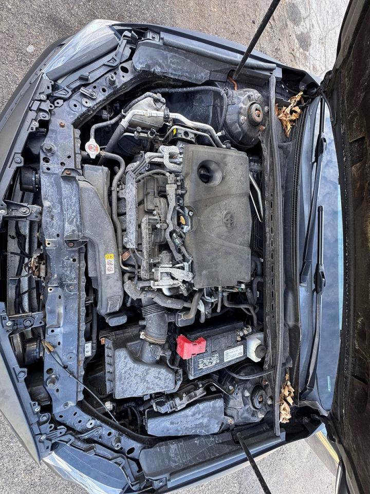 2019 Toyota Camry Se - zdjęcie 7