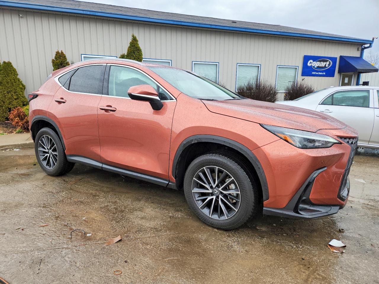 2025 Lexus Nx 350 Base - zdjęcie 4