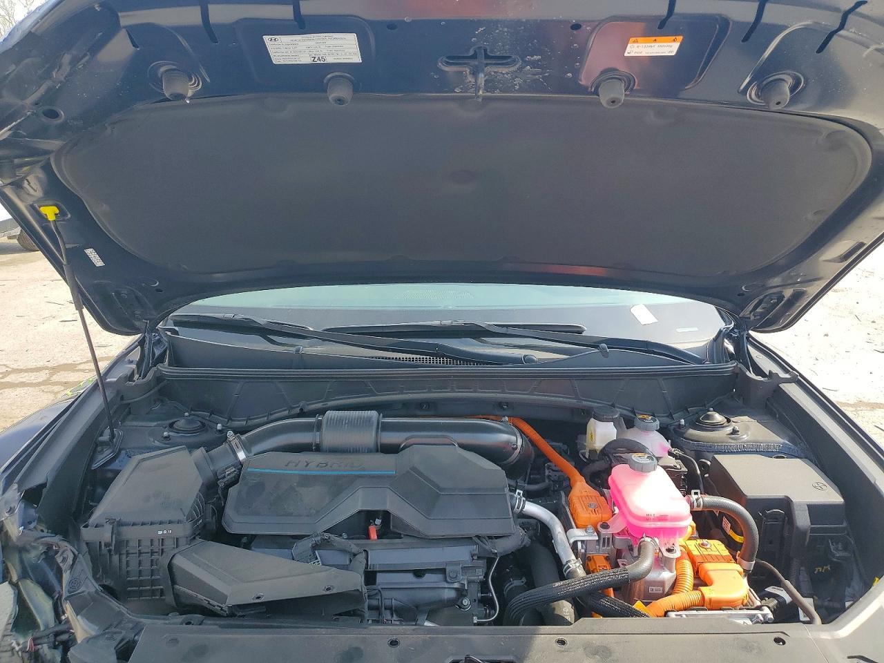2024 Hyundai Tucson Hybrid Blue - zdjęcie 12