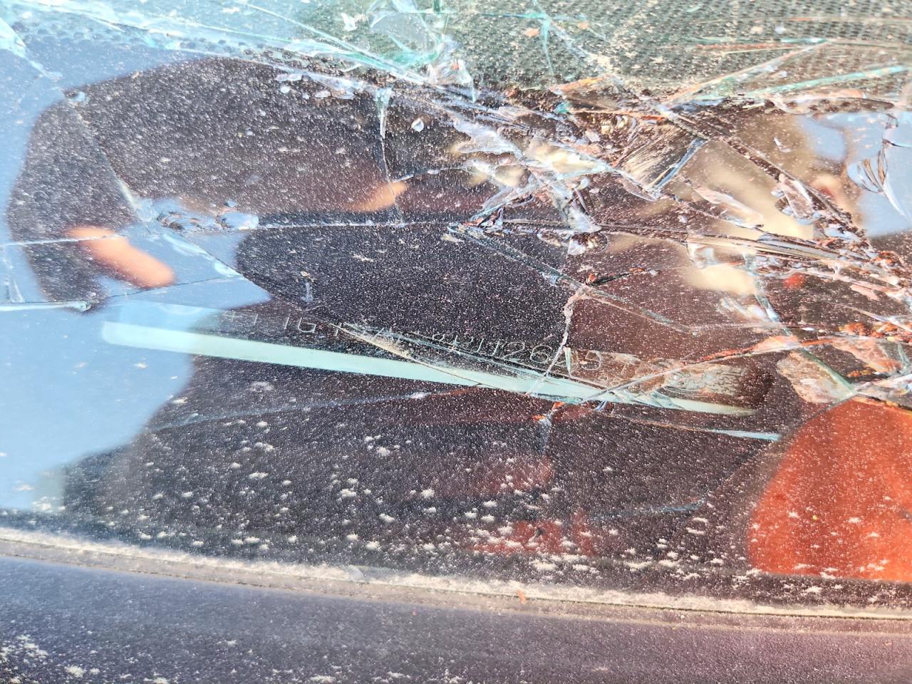 2024 Toyota Camry Se - zdjęcie 12