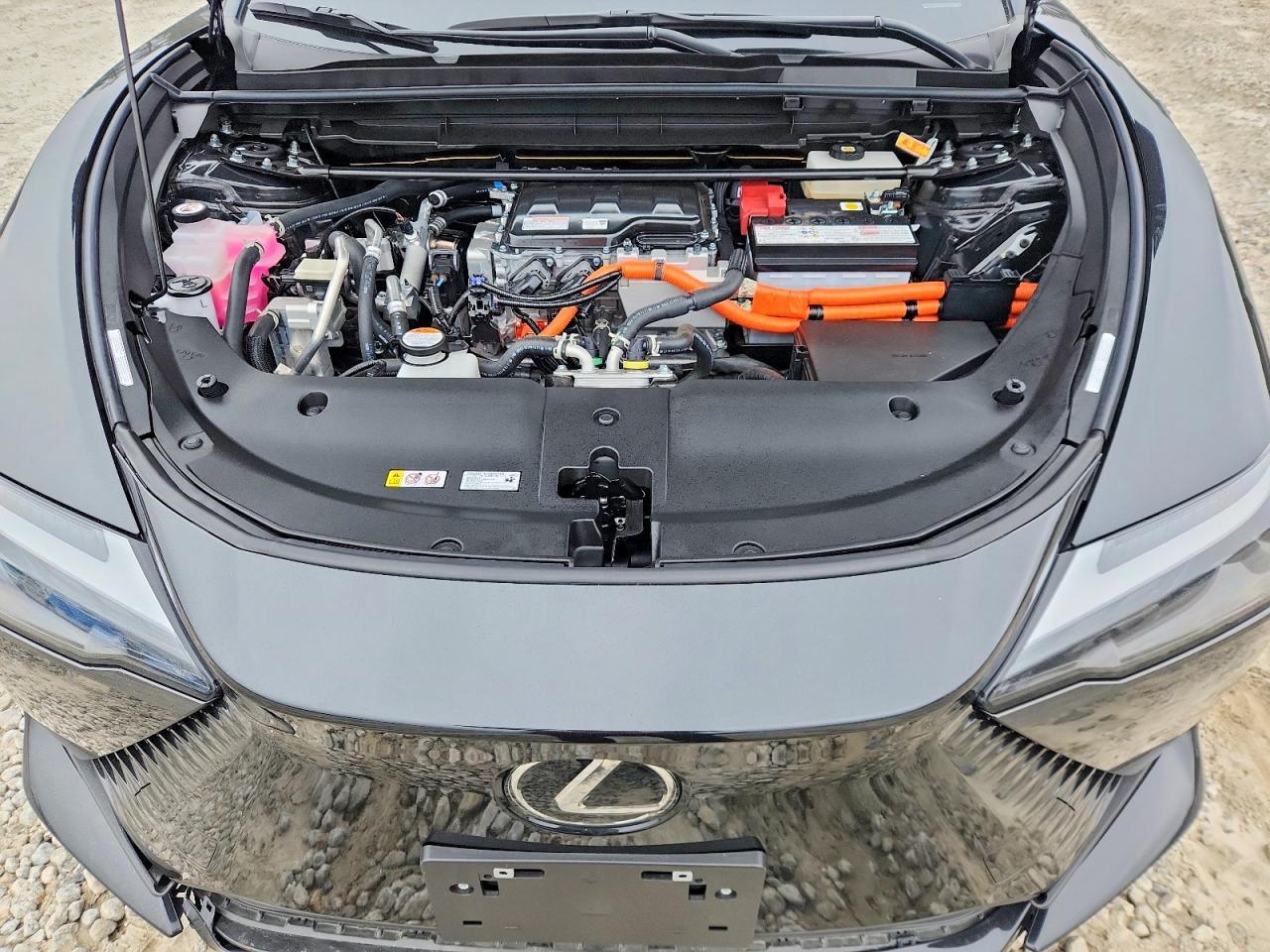 2024 Lexus Rz 450E Premium - zdjęcie 12