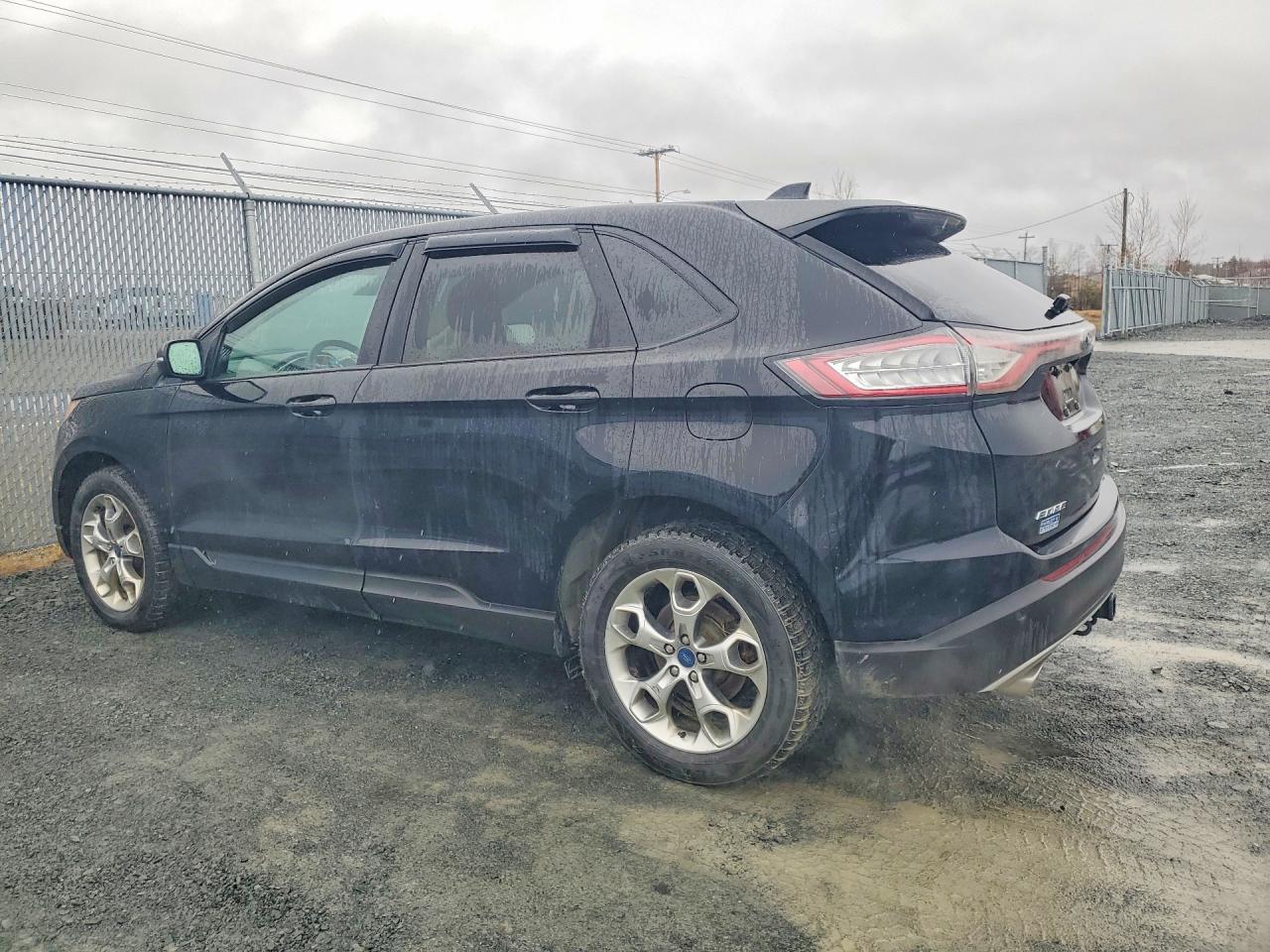 2018 Ford Edge Sel - zdjęcie 2