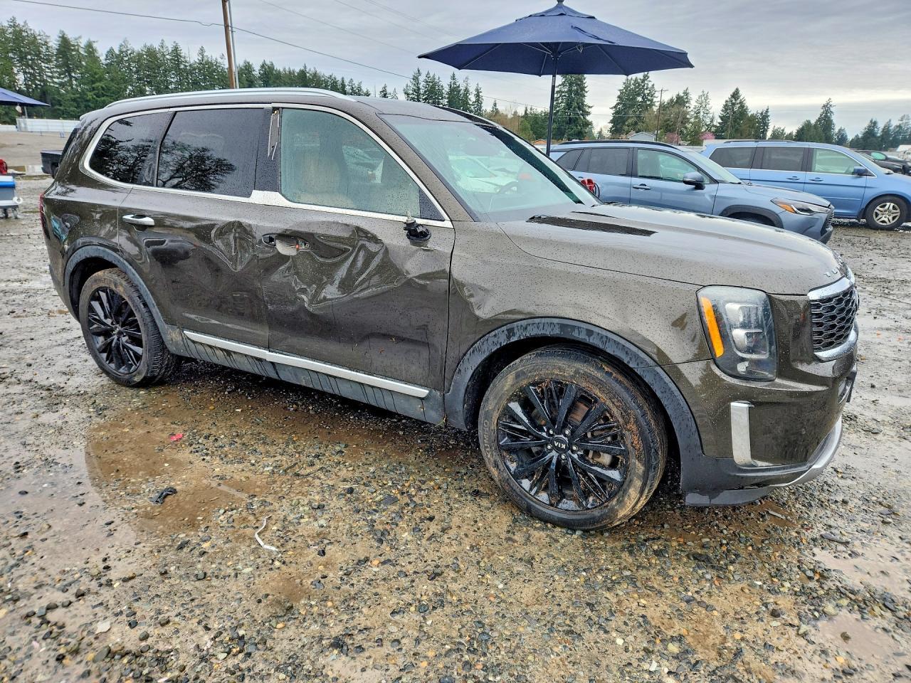 2020 Kia Telluride Sx - zdjęcie 4