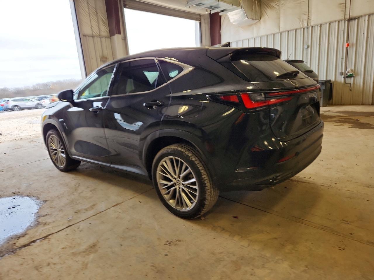 2024 Lexus Nx 350H Luxury - zdjęcie 2