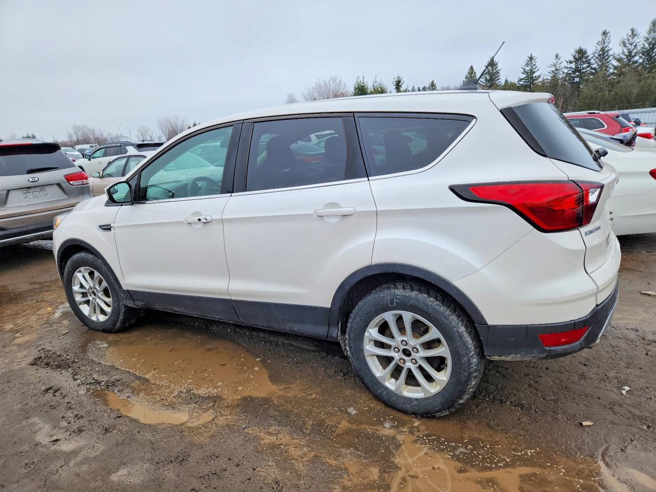 2019 Ford Escape Se - zdjęcie 2