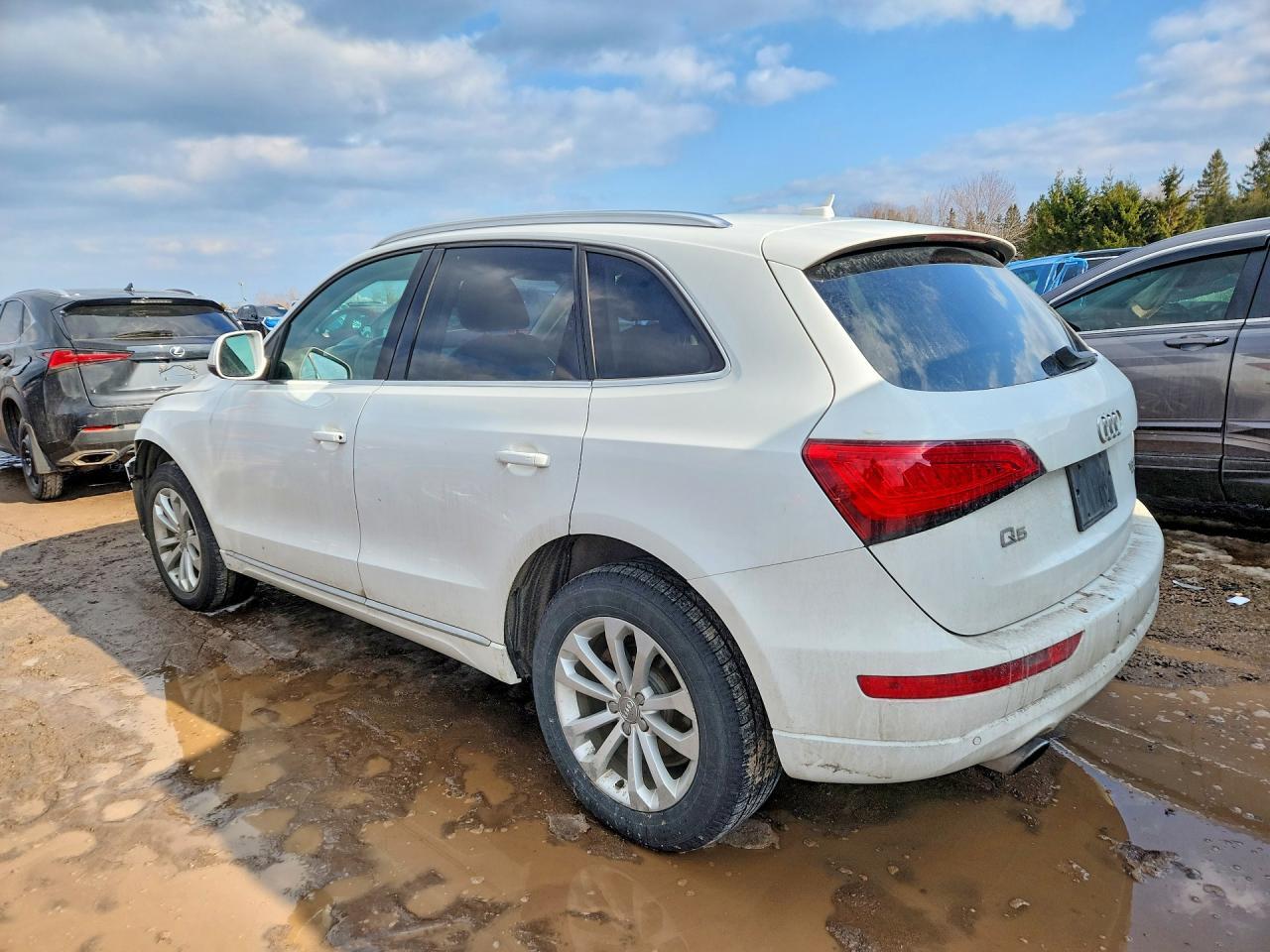 2014 Audi Truck/Van Q5 4Dr Awd - zdjęcie 2