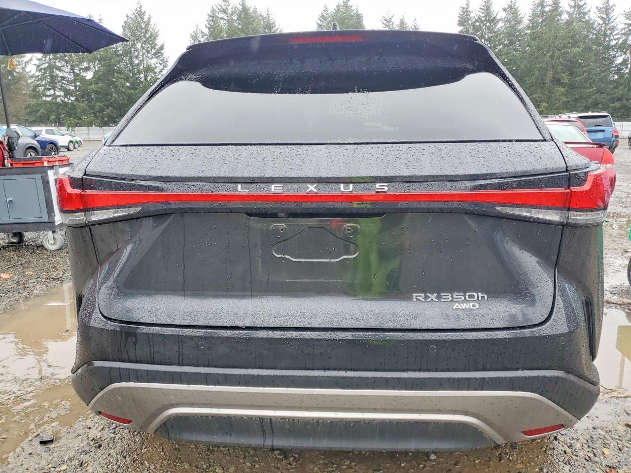 2024 Lexus Rx 350H Premium+ - zdjęcie 6