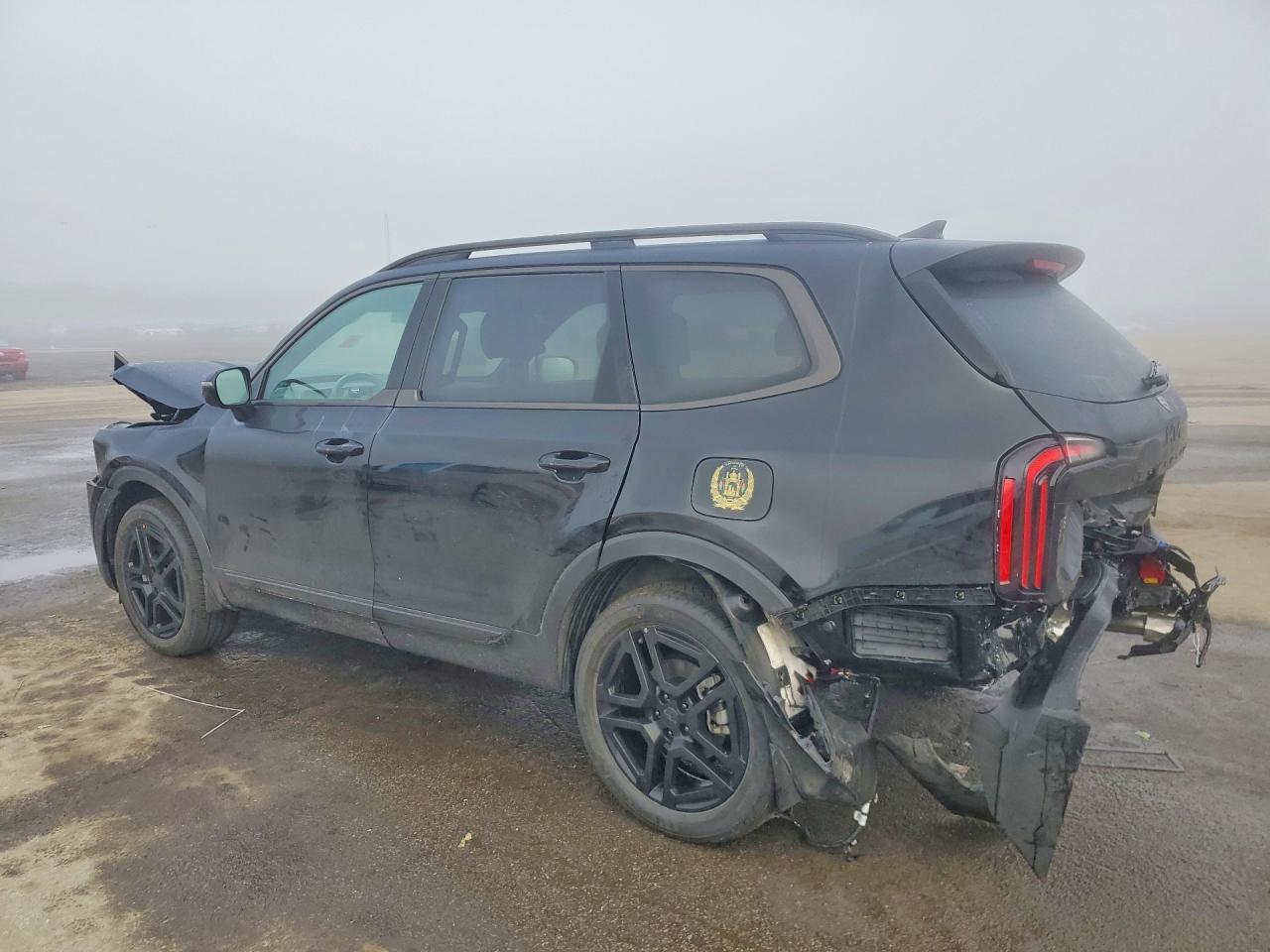 2025 Kia Telluride Sx X-Line - zdjęcie 2