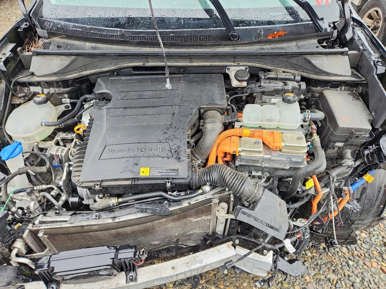 2019 Kia Niro Plug-In Hybrid Ex - zdjęcie 11