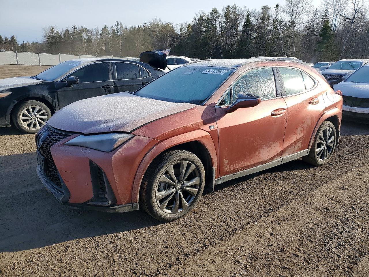 2025 Lexus Ux 300H Base - zdjęcie główne