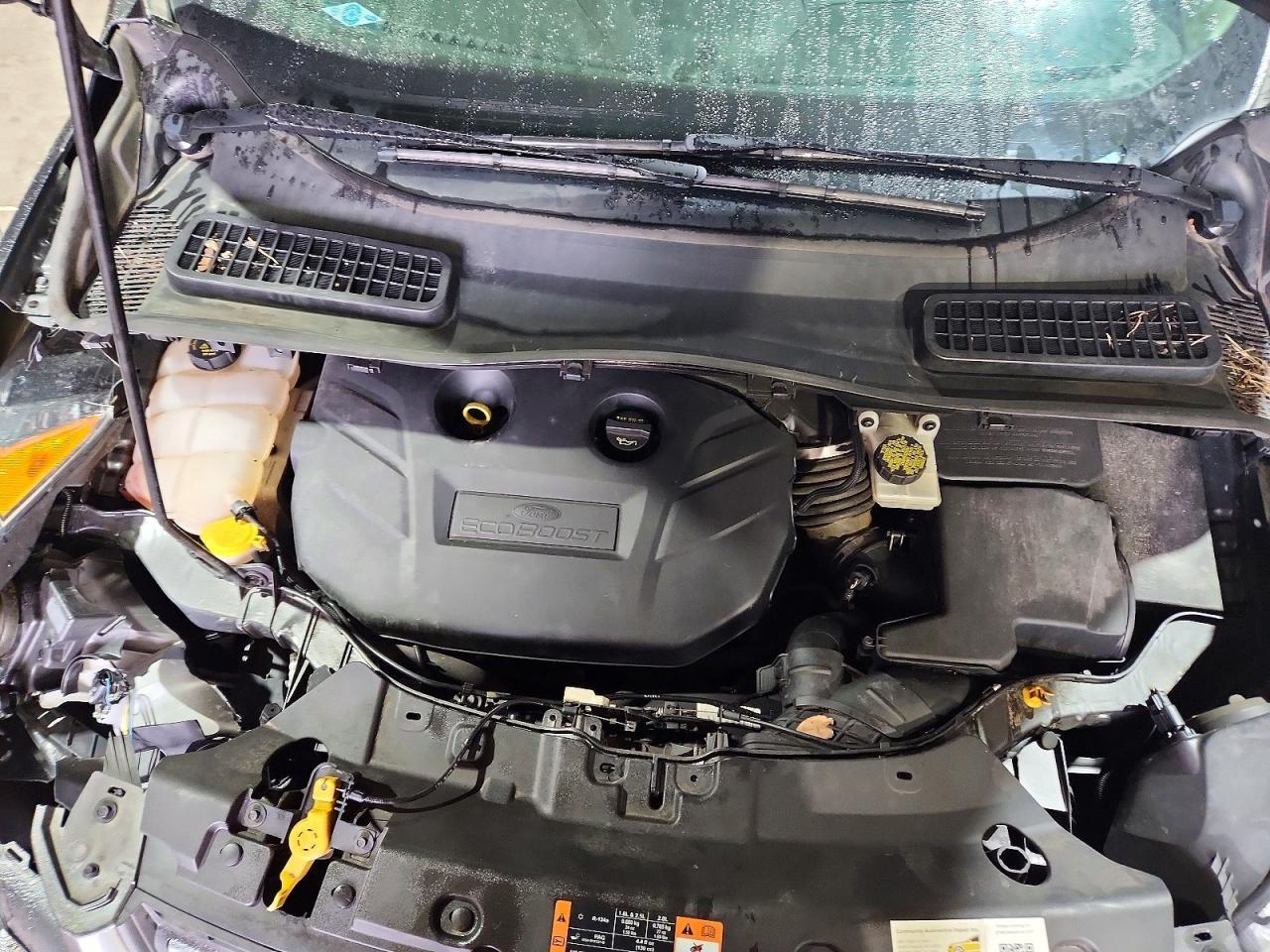 2015 Ford Escape Se - zdjęcie 11