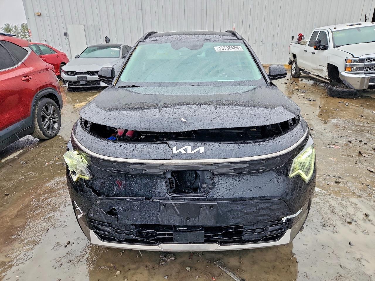 2024 Kia Niro Ev Wave - zdjęcie 5