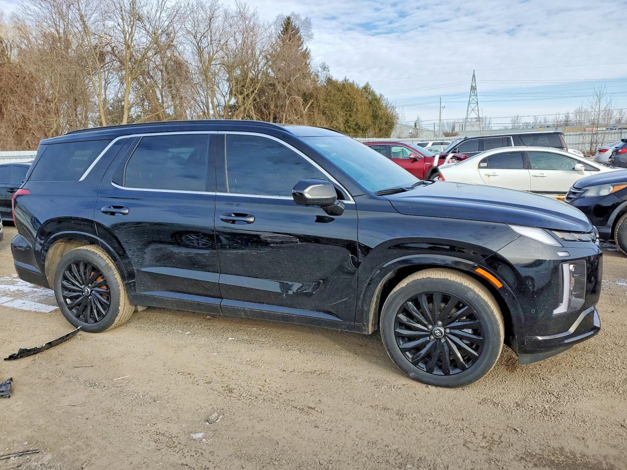 2025 Hyundai Palisade Limited - zdjęcie 4