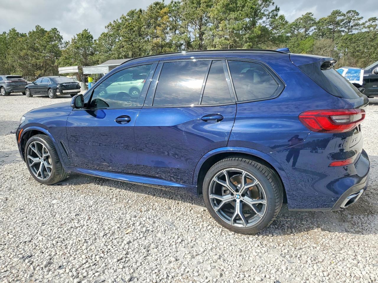 2019 BMW X5 xDrive40I - zdjęcie 2