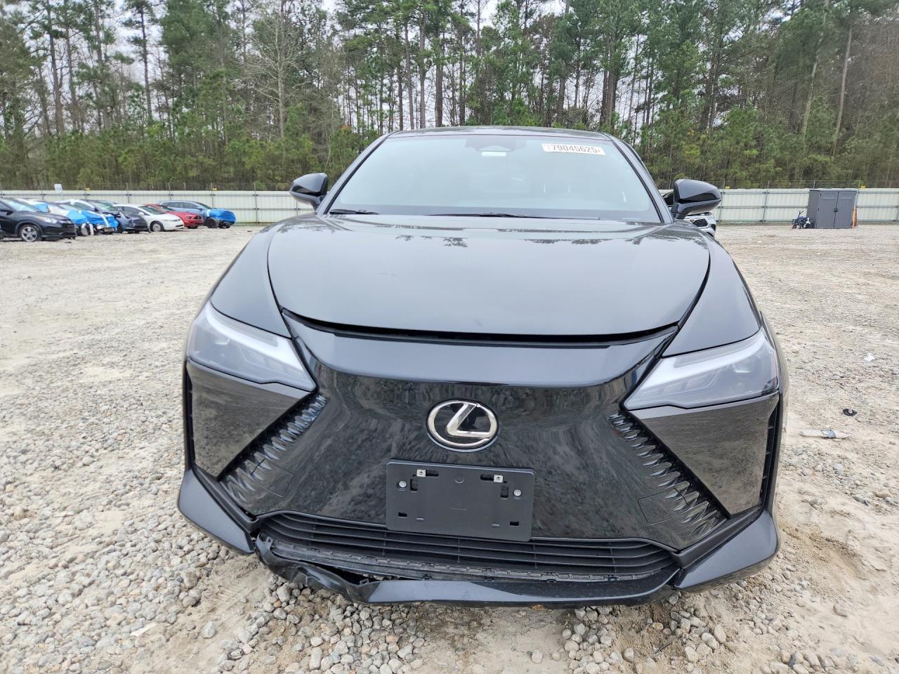 2024 Lexus Rz 450E Premium - zdjęcie 5