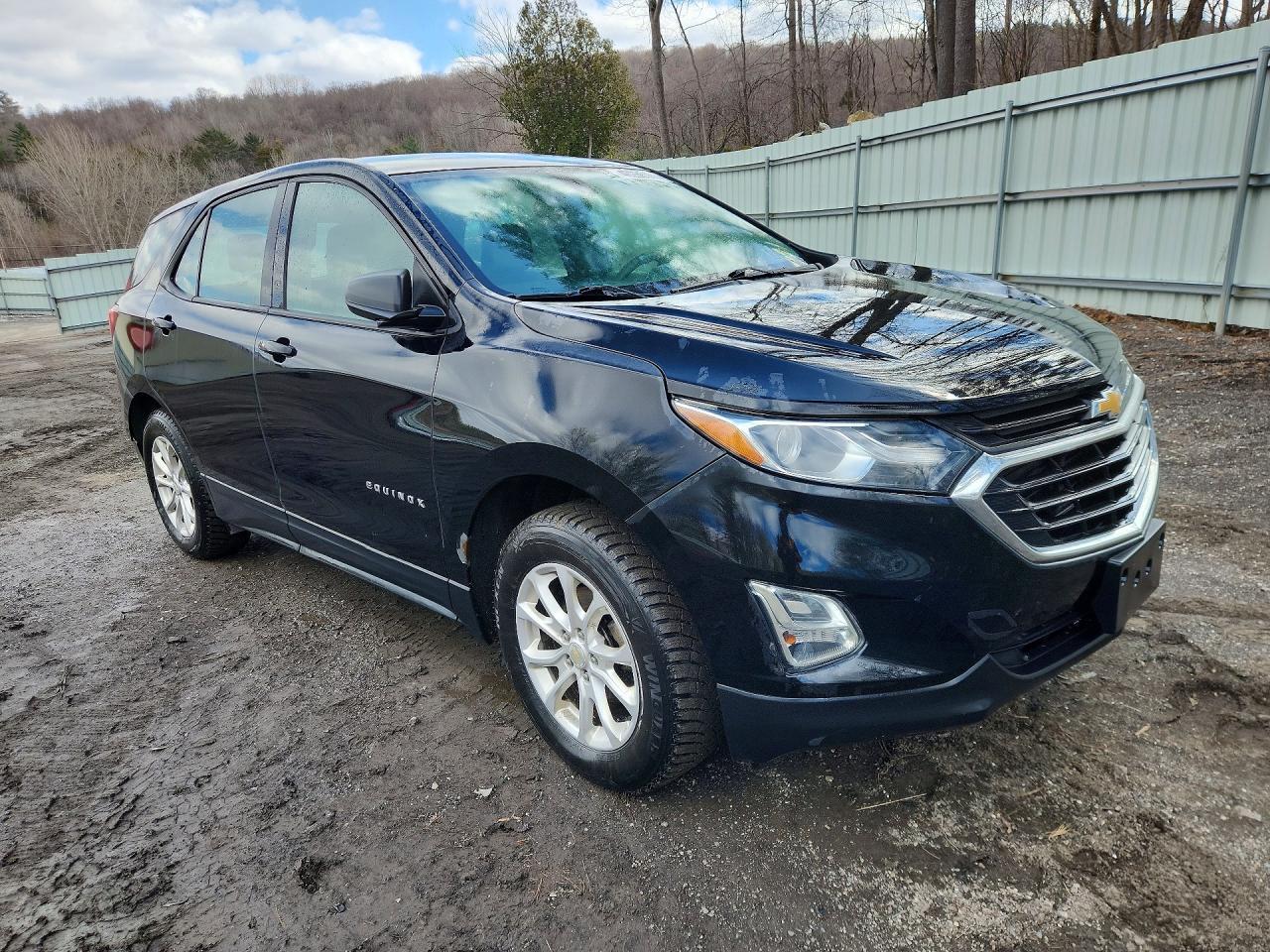 2018 Chevrolet Equinox Ls - zdjęcie 4