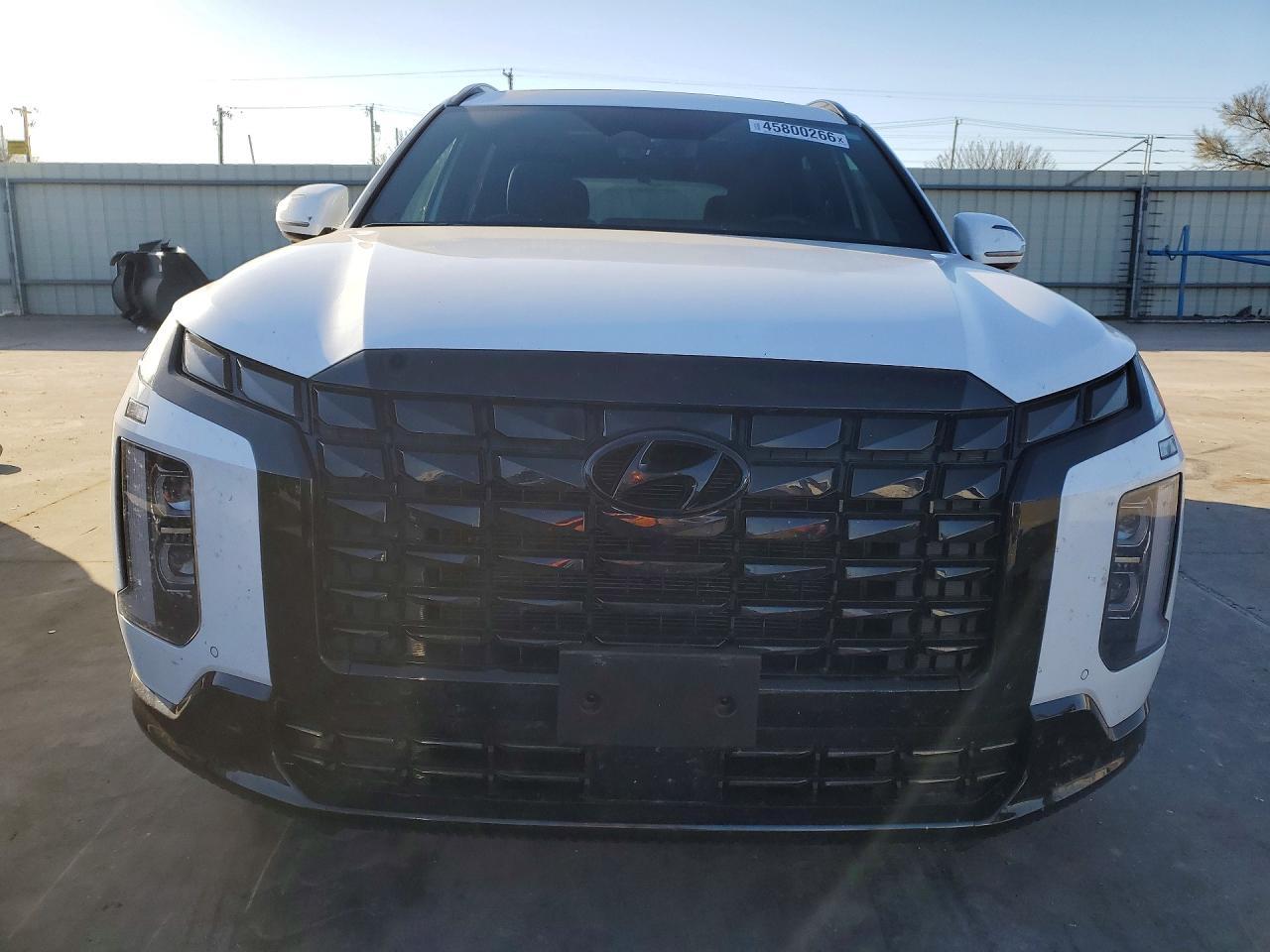 2025 Hyundai Palisade Calligraphy Night Edition - zdjęcie 5