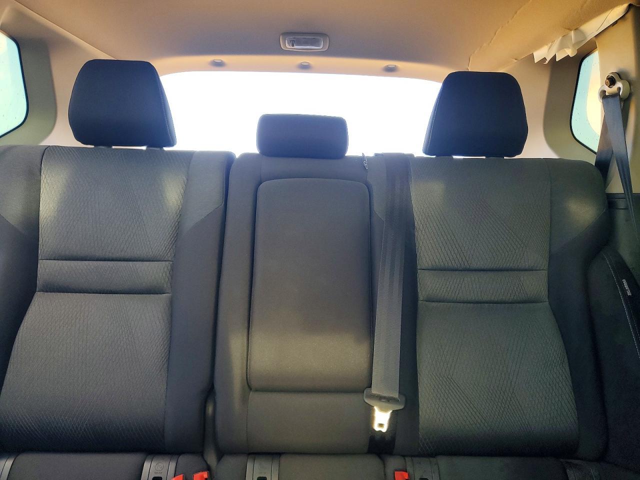 2024 Niss Rogue - zdjęcie 10