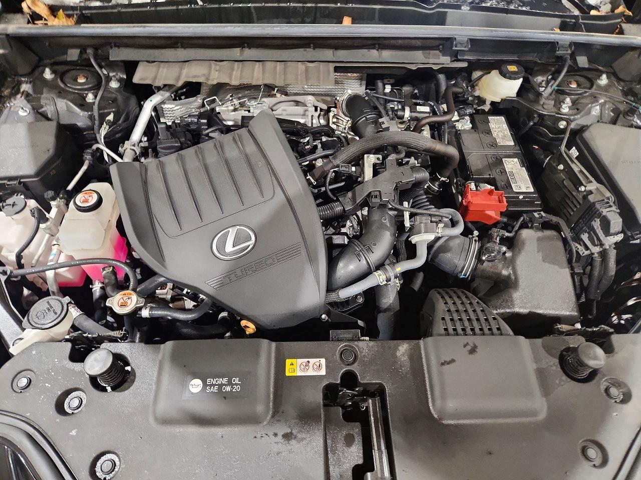 2023 Lexus Nx 350 Premium - zdjęcie 11