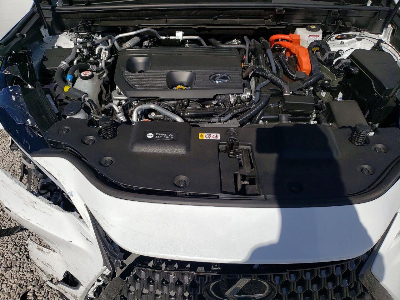 2026 Lexus Nx 450H+ Premium - zdjęcie 12