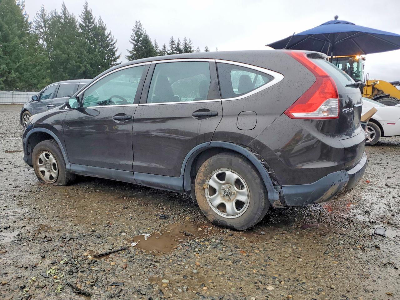 2013 Honda Cr-V Lx - zdjęcie 2