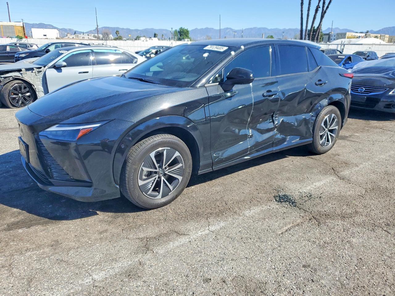 2024 Lexus Rz 300E Premium - zdjęcie główne