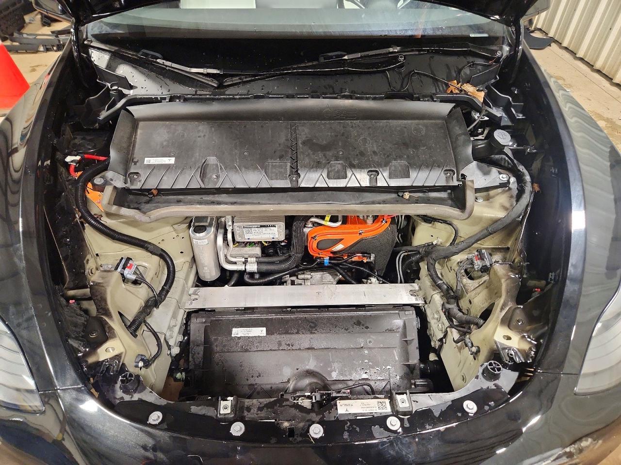 2024 Tesla Model Y - zdjęcie 12