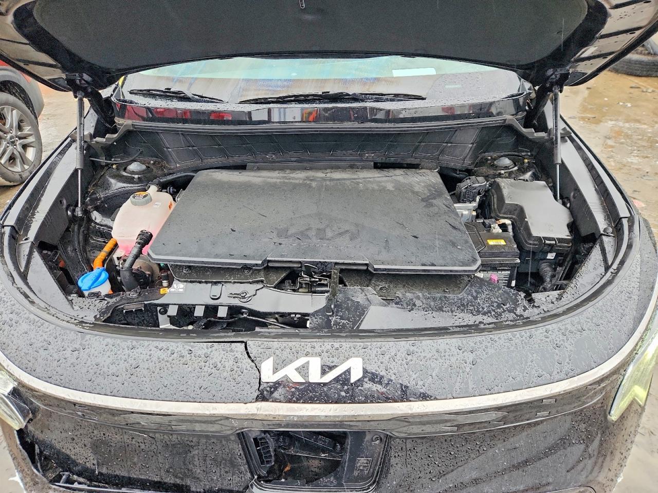 2024 Kia Niro Ev Wave - zdjęcie 11