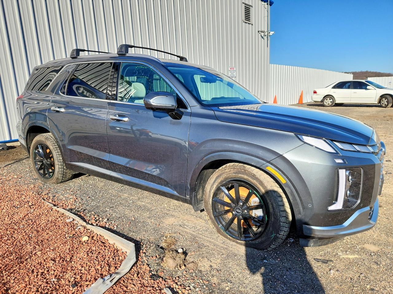2024 Hyundai Palisade Calligraphy - zdjęcie 4