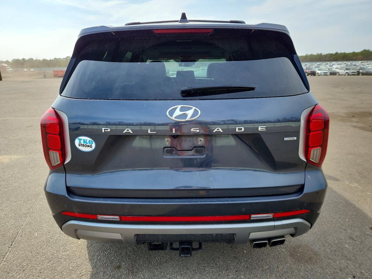 2024 Hyundai Palisade Sel - zdjęcie 6