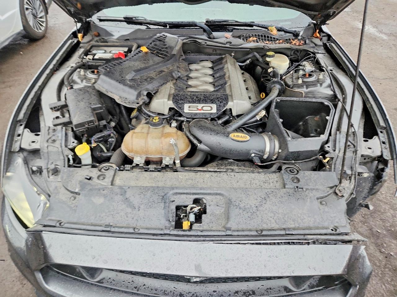 2015 Ford Mustang Gt - zdjęcie 11