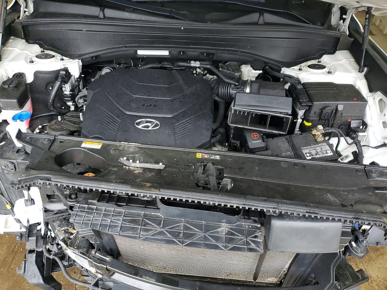 2022 Hyundai Palisade Sel - zdjęcie 12
