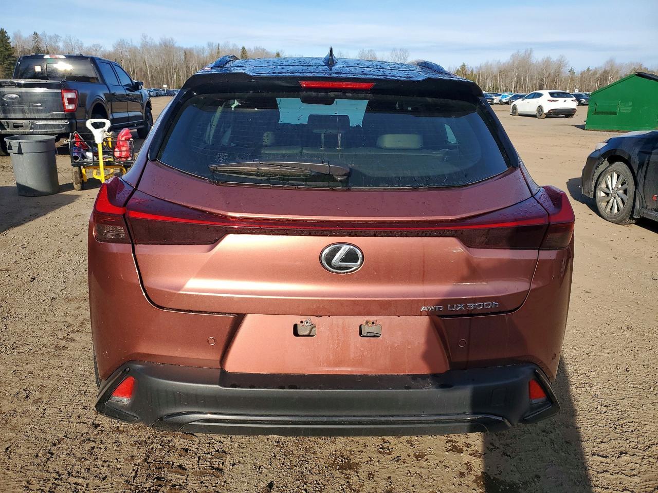 2025 Lexus Ux 300H Base - zdjęcie 6