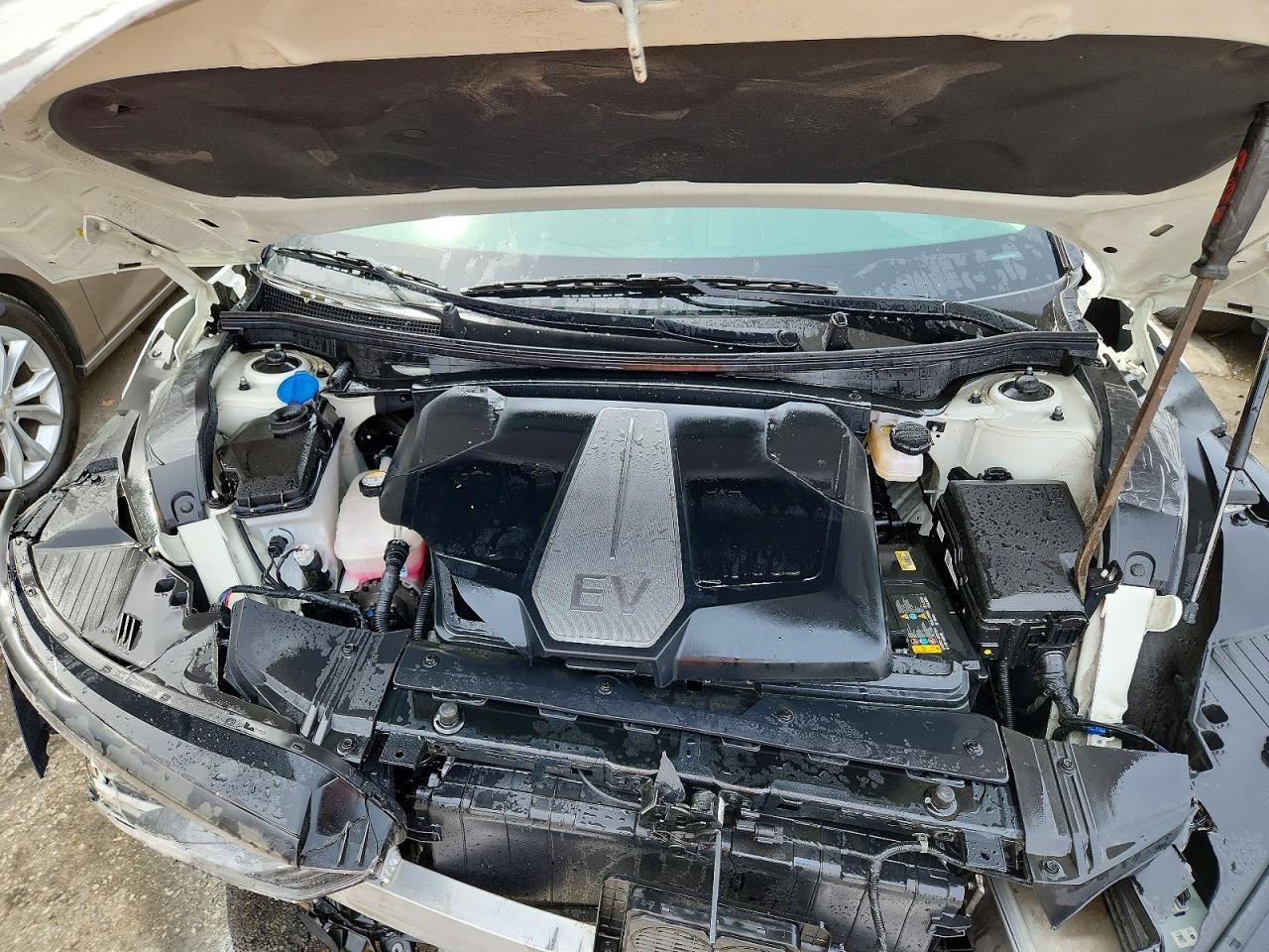 2024 Kia Ev6 Light - zdjęcie 11