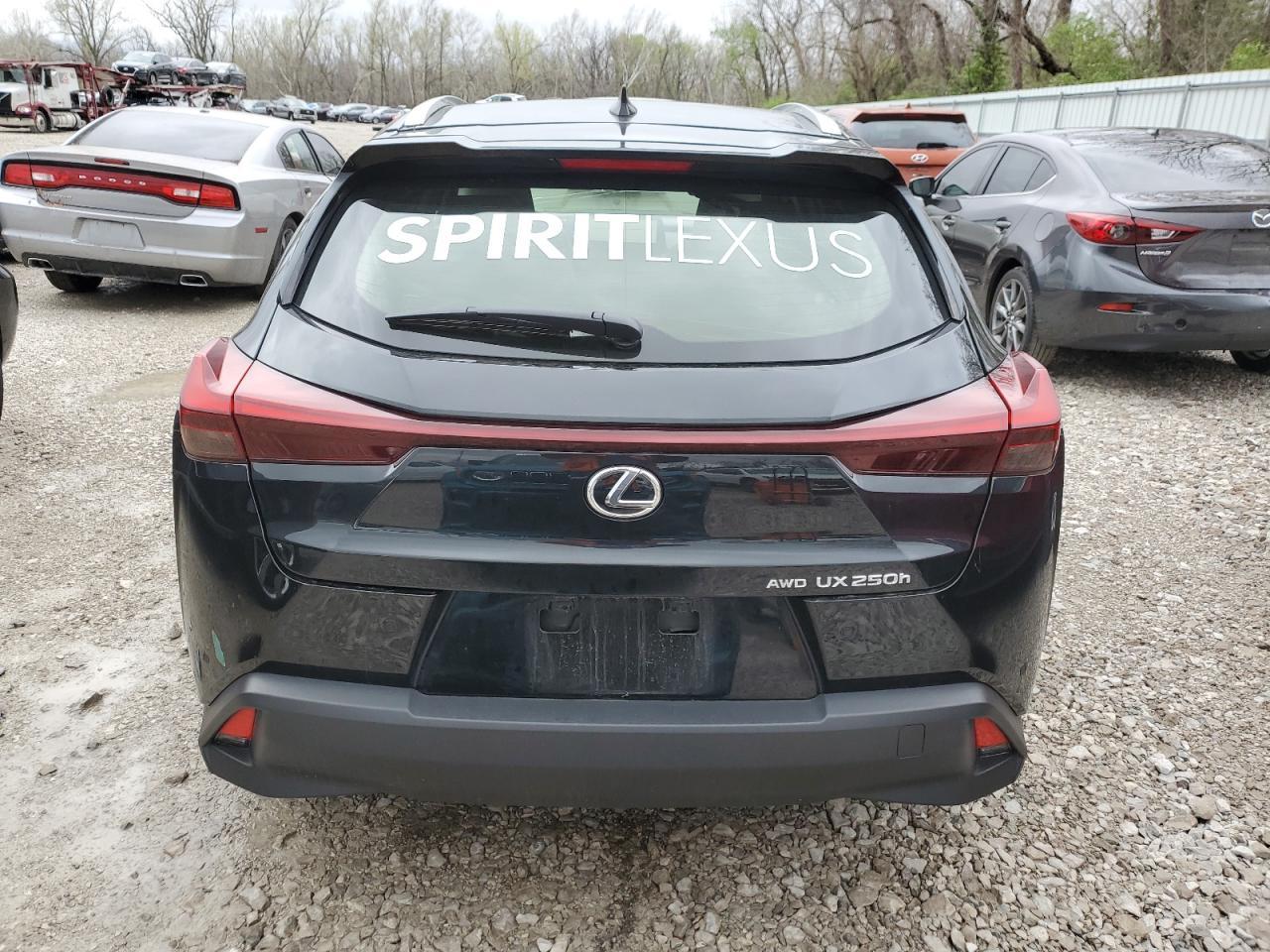 2024 Lexus Ux 250H Premium - zdjęcie 6