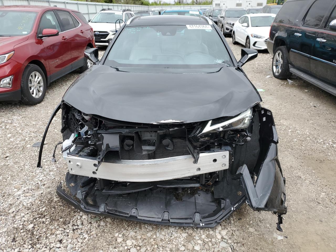 2024 Lexus Ux 250H Premium - zdjęcie 5