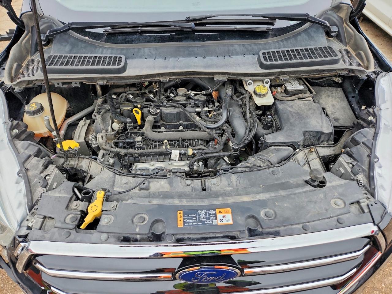 2019 Ford Escape Sel - zdjęcie 11