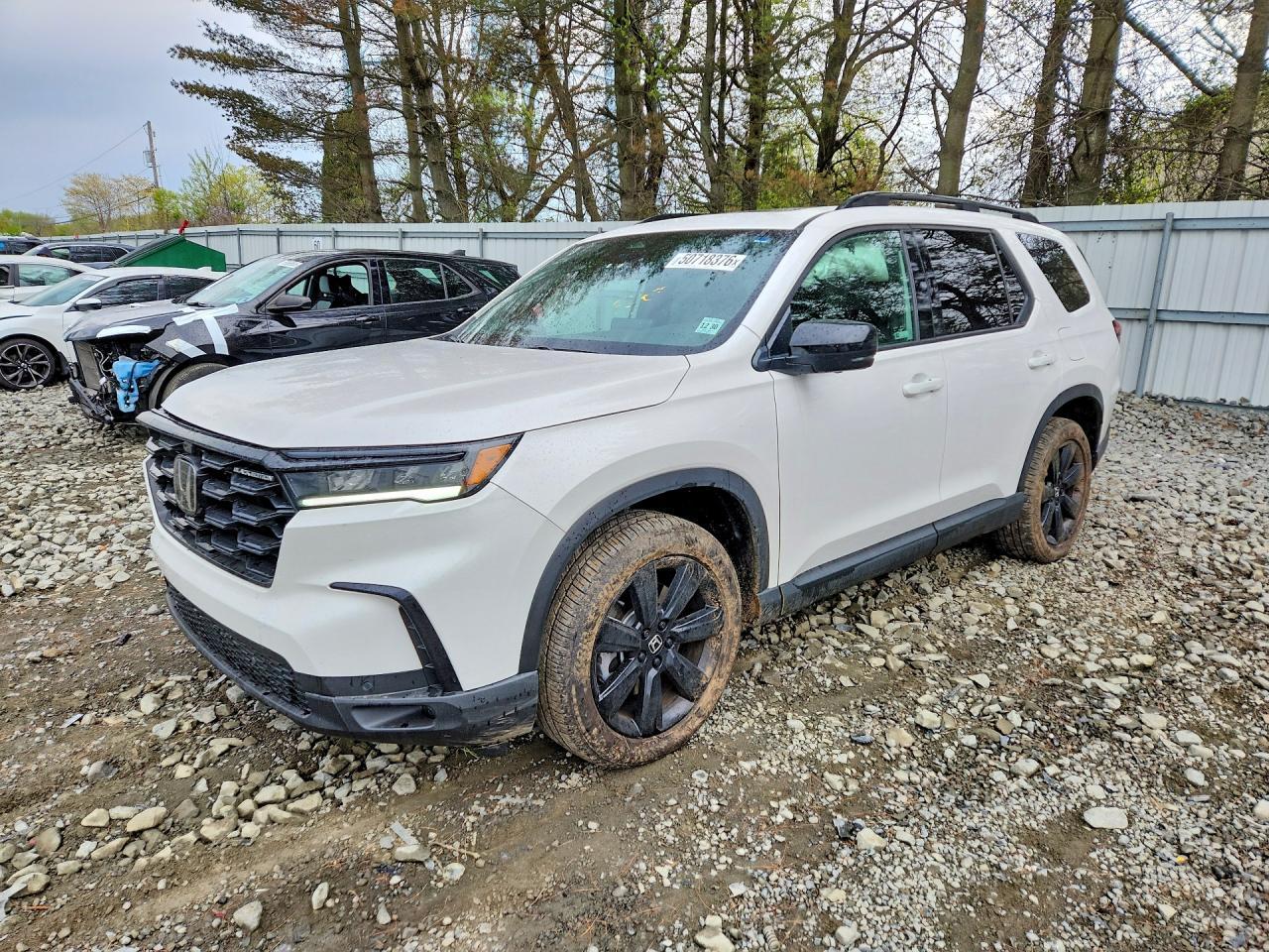 2025 Honda Pilot Black - zdjęcie główne