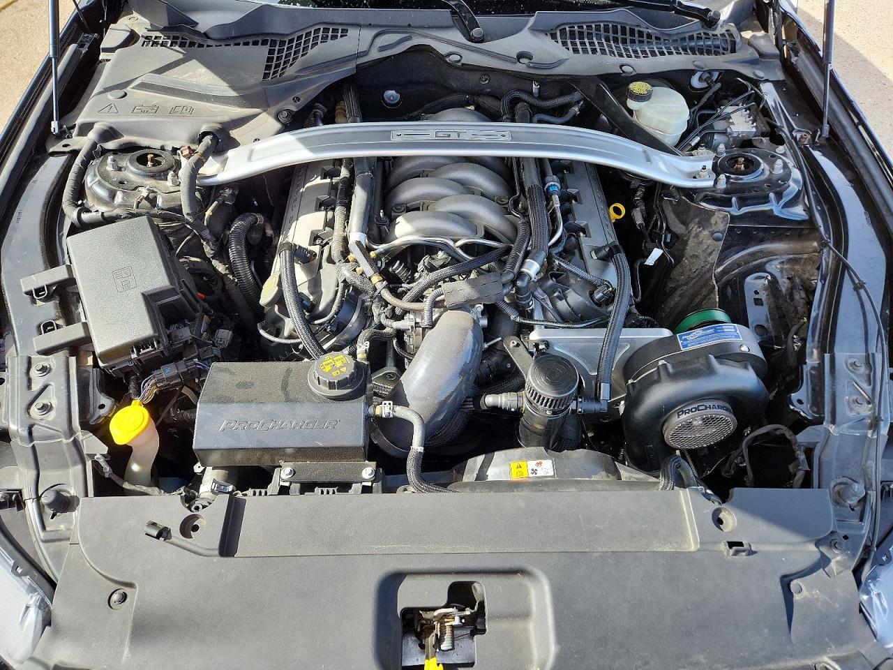 2016 Ford Mustang Gt - zdjęcie 11