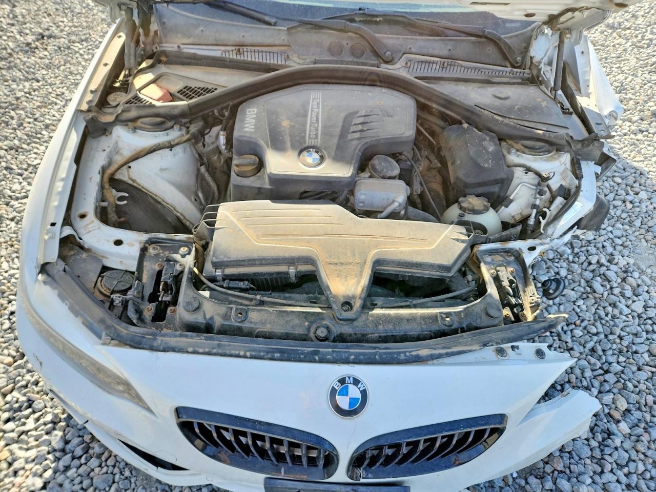 2015 BMW 228 Xi Sulev - zdjęcie 11