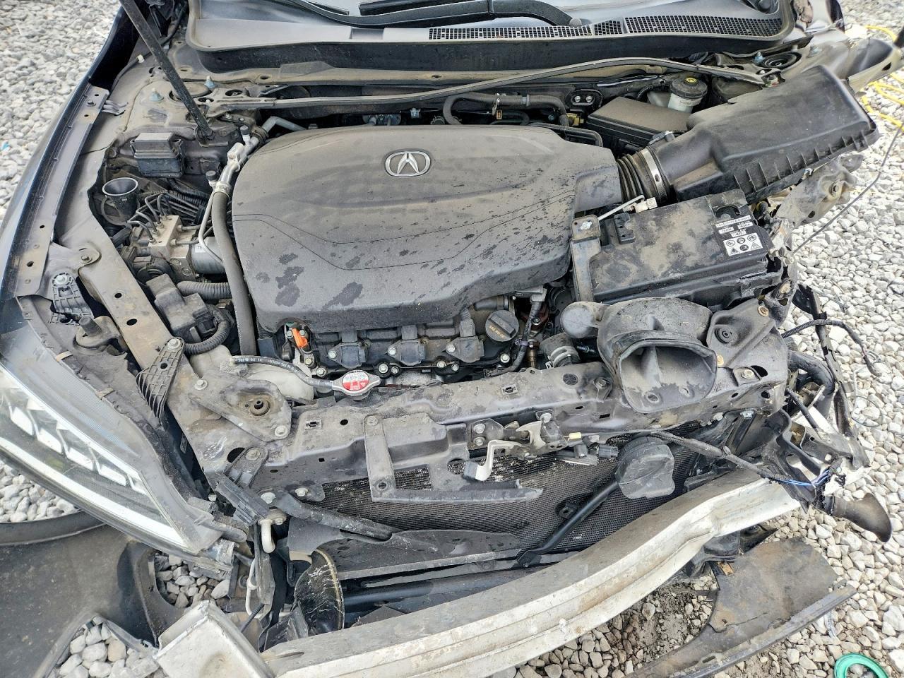 2015 Acura Tlx Tech - zdjęcie 11