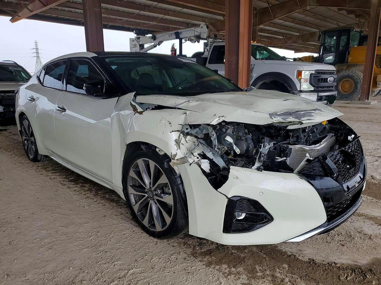 2023 Niss Maxima Platinum - zdjęcie 4