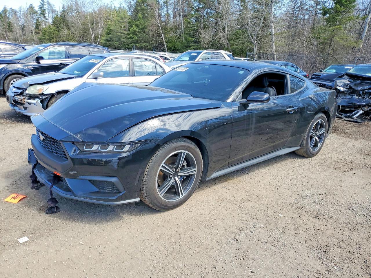 2024 Ford Mustang - zdjęcie główne