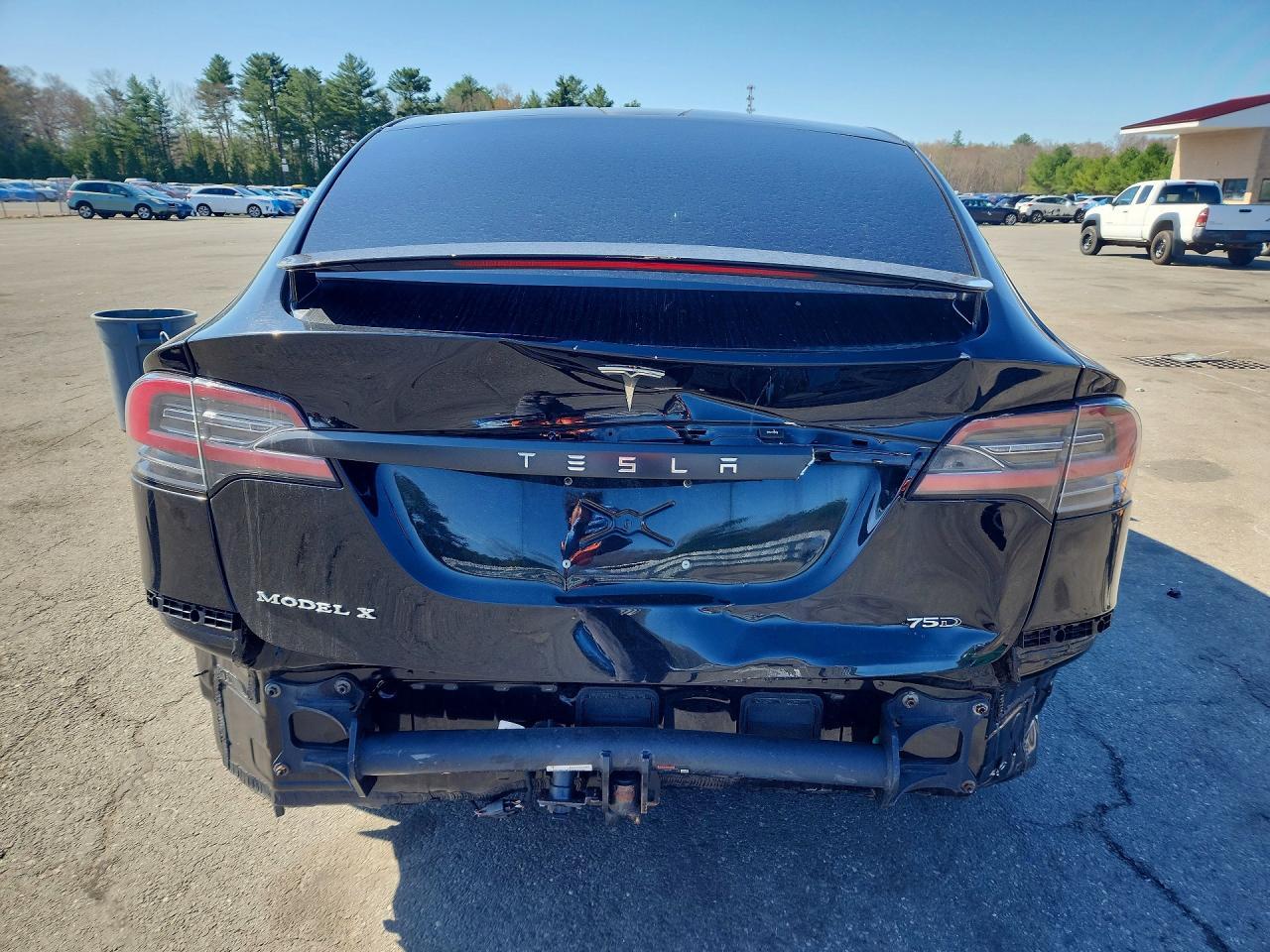 2018 Tesla Model X - zdjęcie 6