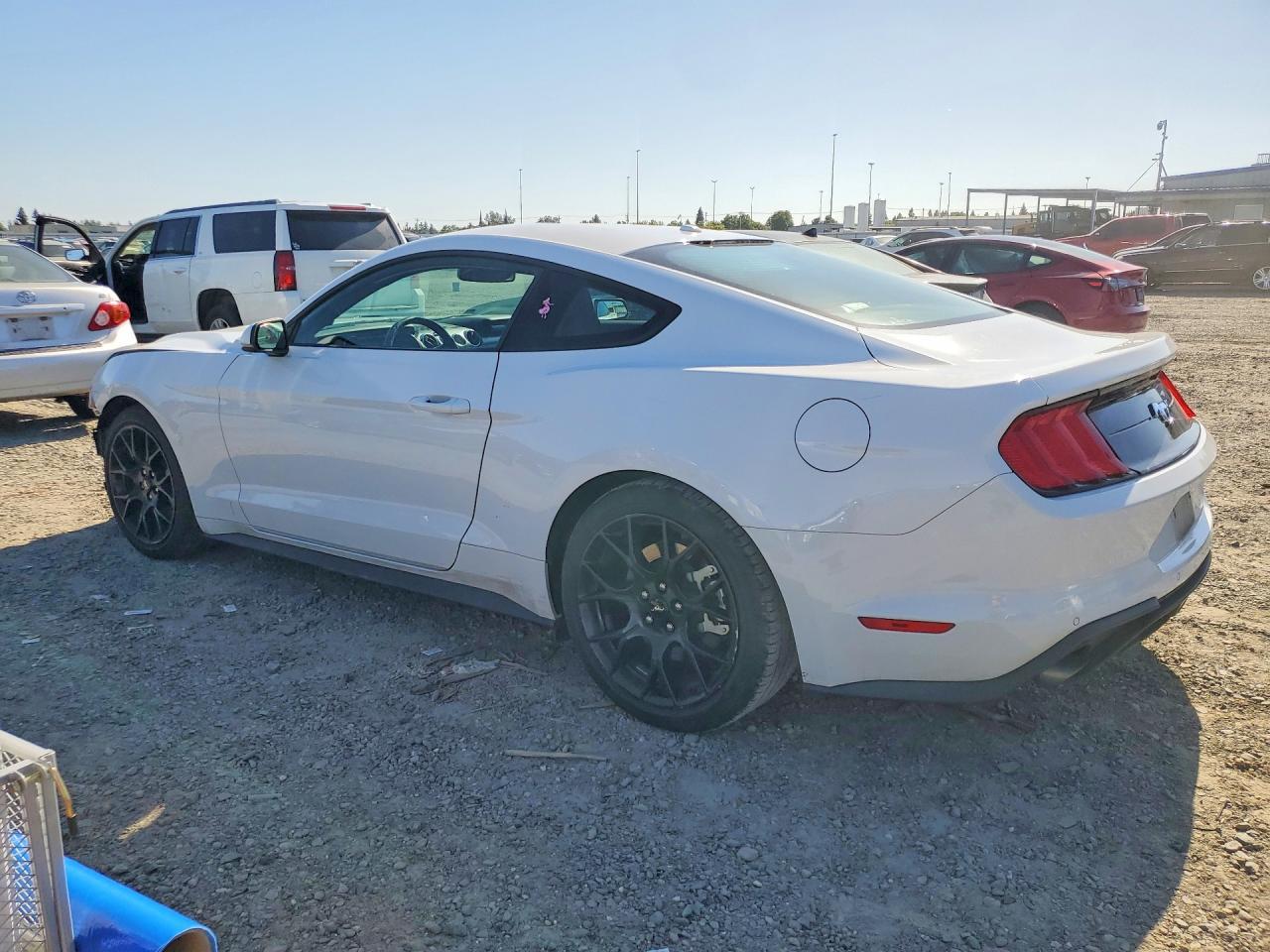 2019 Ford Mustang - zdjęcie 2