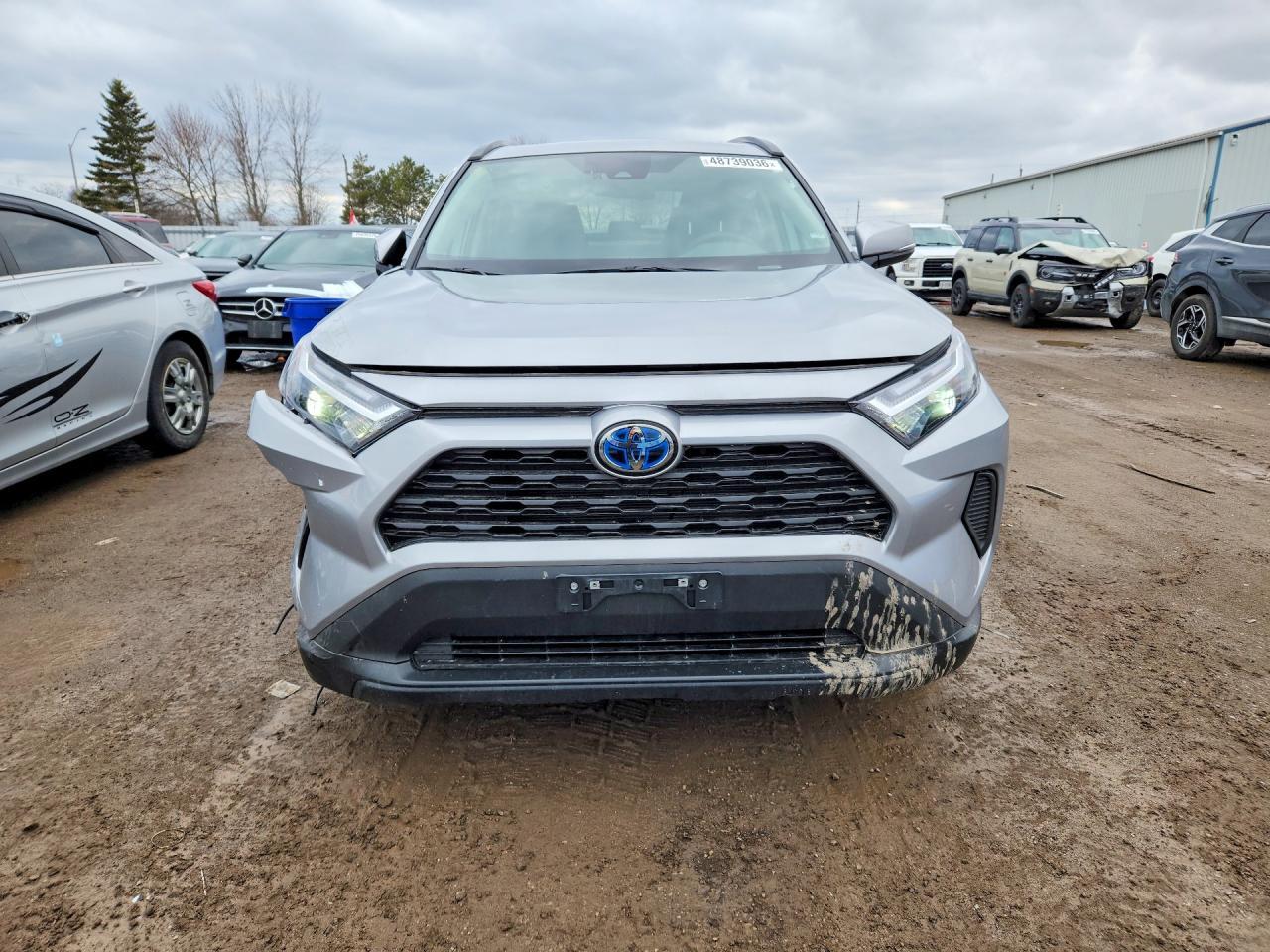2024 Toyota Rav4 Hybrid Xle - zdjęcie 5
