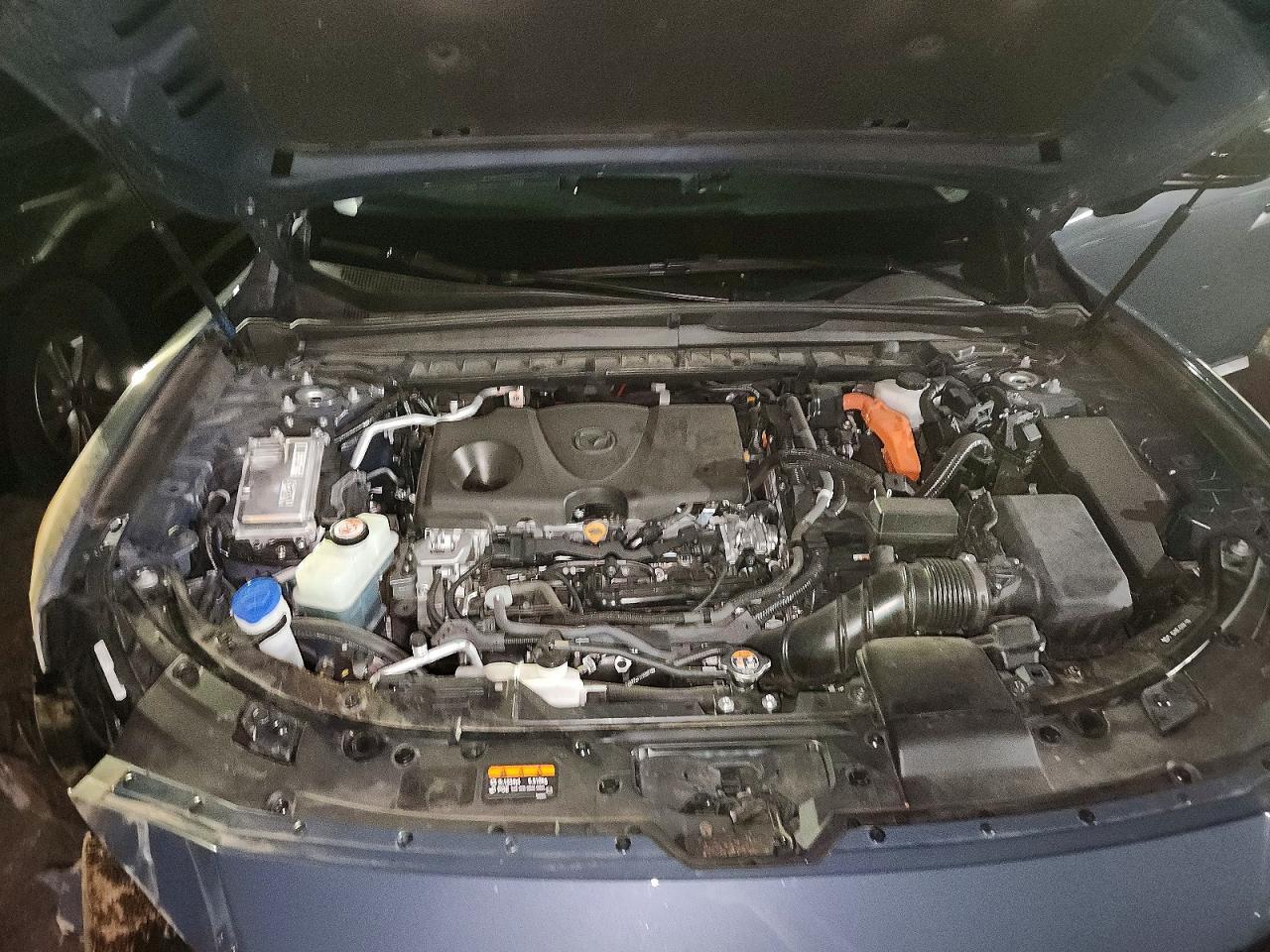 2025 Mazda Cx-50 Preferred - zdjęcie 12