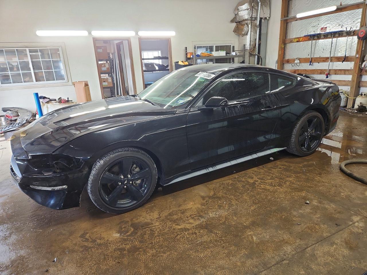 2021 Ford Mustang - zdjęcie główne