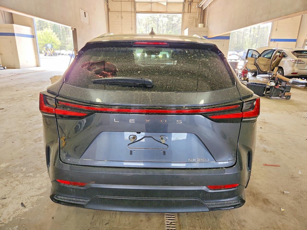 2025 Lexus Nx 250 Premium - zdjęcie 6