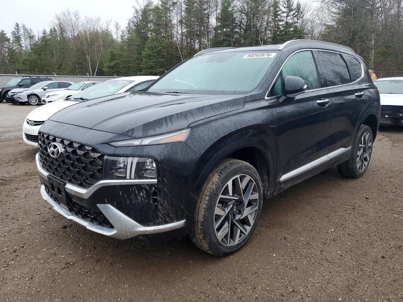 2023 Hyundai Santa Fe Calligraphy - zdjęcie główne